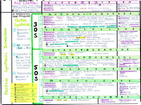 My Notes for USMLE | Antibiotics pharmacology, Pharmacology nursing, Pharmacology