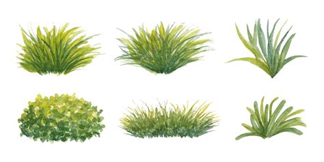 Premium Vector | Hand painted watercolor green grass or garden elements set collection