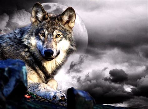 🔥 [50+] Awesome Wolf Wallpapers | WallpaperSafari