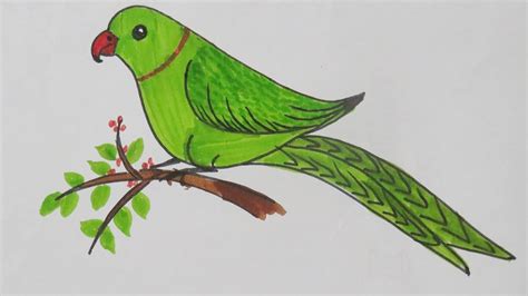 Parrot Easy Drawing at PaintingValley.com | Explore collection of ...