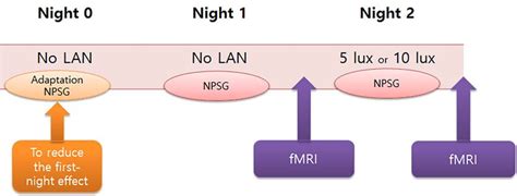 Schematic of the LAN intervention procedure. To reduce the first-night... | Download Scientific ...