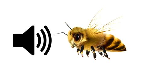 Bee Buzzing - Sound Effect | ProSounds - YouTube