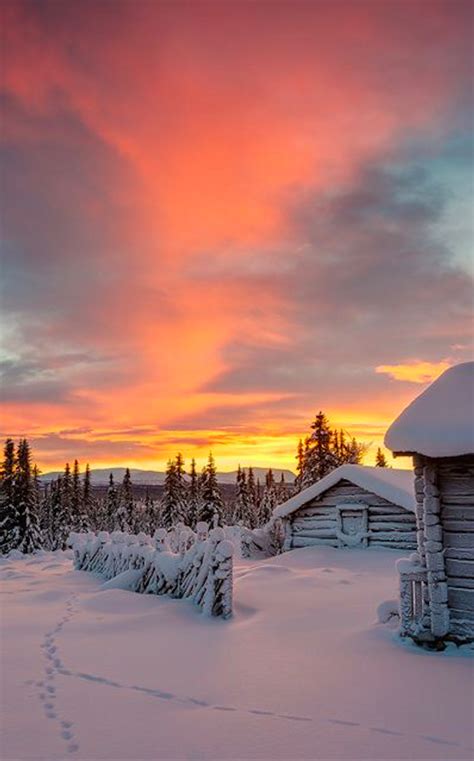 Reasons to Travel to Sweden During Winter Winter cabin in Staffsvallen ...