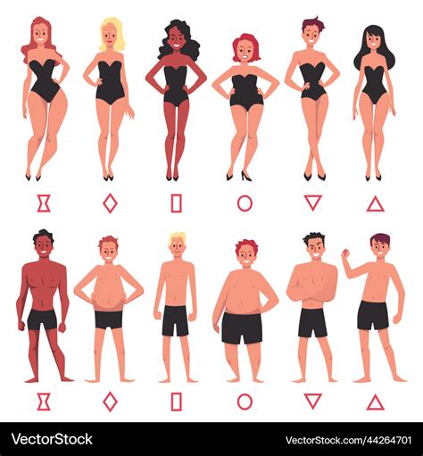 Human body types of female and male set flat Vector Image