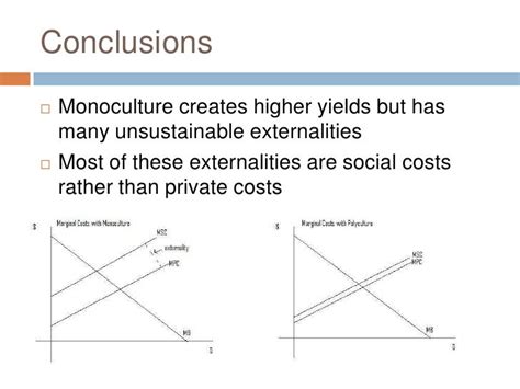 Monoculture vs. Polyculture - Economics of Agricultural Practices