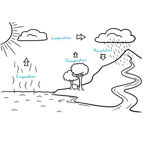 Update more than 157 water cycle diagram drawing super hot ...