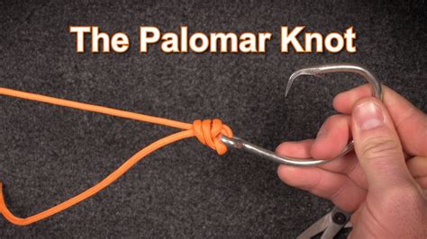 How to Tie the Palomar Knot - YouTube