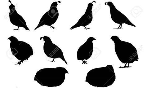 quail silhouette clipart 10 free Cliparts | Download images on ...