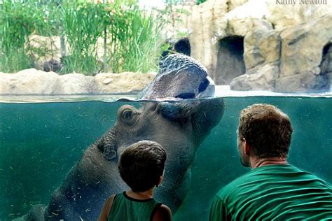 Win Passes to the Cincinnati Zoo! - Cincinnati Parent Magazine