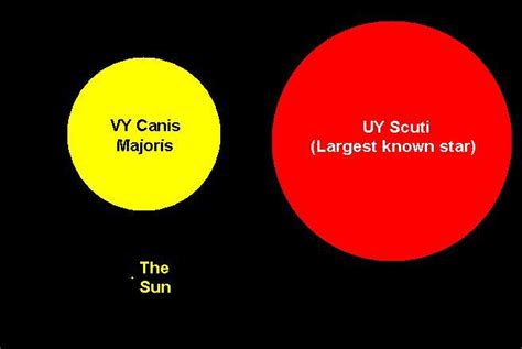 Image - Sun; VY Canis Majoris and UY Scuti size.jpg | Wings of Fire Fanon Wiki | FANDOM powered ...