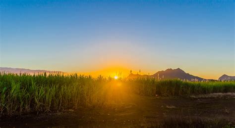 Free stock photo of Sugarcane fields mountain sunset landscape