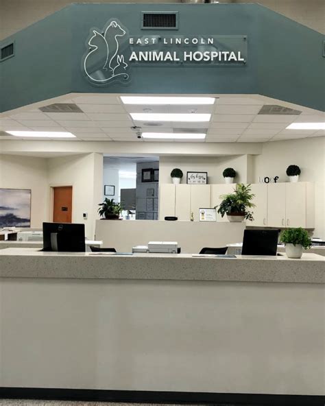 East Lincoln Animal Hospital Tour | East Lincoln Animal Hospital