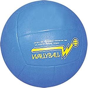 Amazon.com : BSN Official Wallyball Ball : Walleyball Balls : Sports & Outdoors