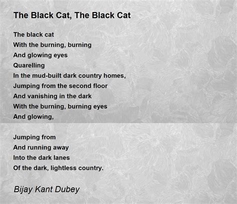 The Black Cat, The Black Cat - The Black Cat, The Black Cat Poem by Bijay Kant Dubey