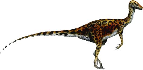 Coelurus dinosaur, facts | habitat - coelurus information