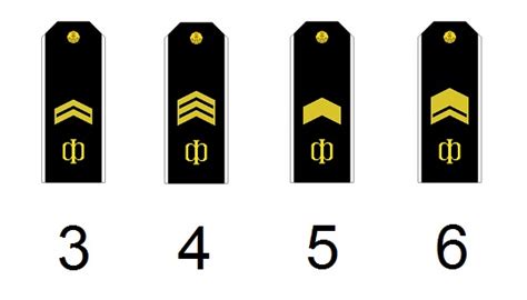 Ranks of the Russian Navy - Militär Wissen