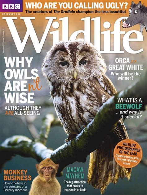 BBC Wildlife Magazine - November 2017 Subscriptions | Pocketmags