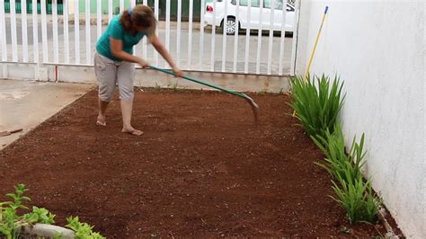 Jardinería. Como Trasplantar pasto o zacate nuevo. Hazlo en forma ...