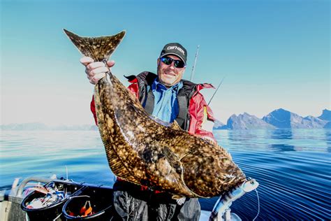 North Norway | Sea Fishing Lofoten | Sportquest Holidays