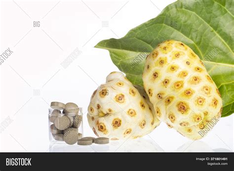 Morinda Citrifolia - Image & Photo (Free Trial) | Bigstock