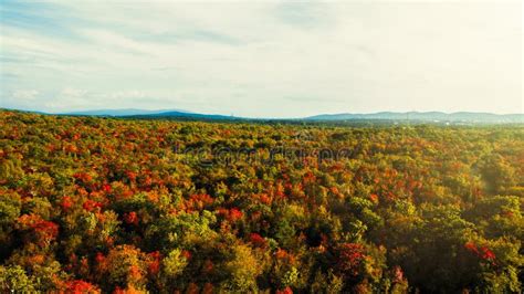 Aerial Drone View of Stunning Colorful Autumn Fall Forest. Drone Aerial ...