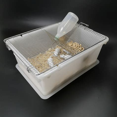 Removable Bottom Lab Use Rat Breeding Cage for Laboratory Mouse Feed Tubs - China Rat Tubs for ...