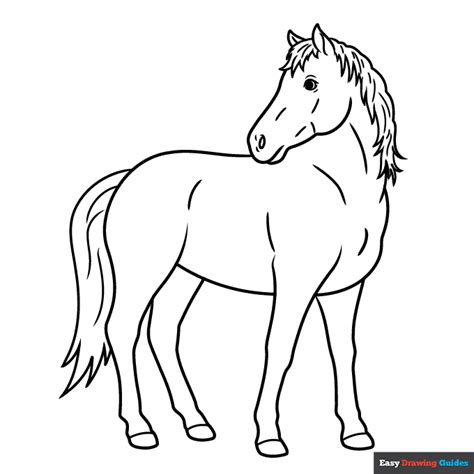 Easy Realistic Horse Coloring Page | Easy Drawing Guides