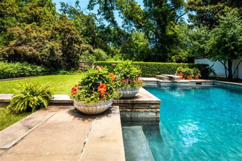 13 Pool Landscaping Plants That Can Make Your Backyard Great Again ...