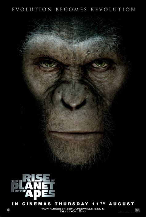 Rise of the Planet of the Apes (#3 of 11): Extra Large Movie Poster Image - IMP Awards