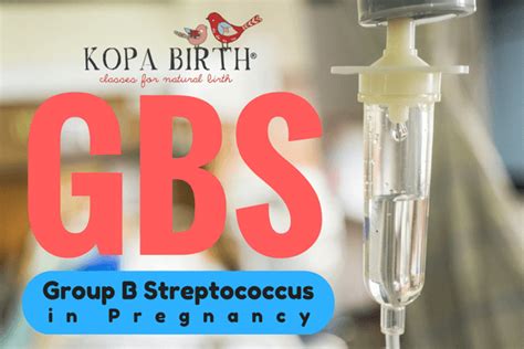 GBS: Group B Streptococcus in Pregnancy | Kopa Birth®