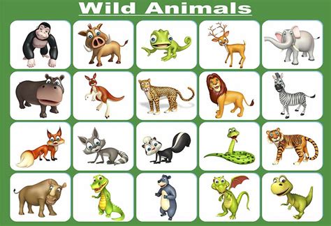 Wild Animals Images With Names