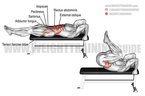 Leg Raises On Bench