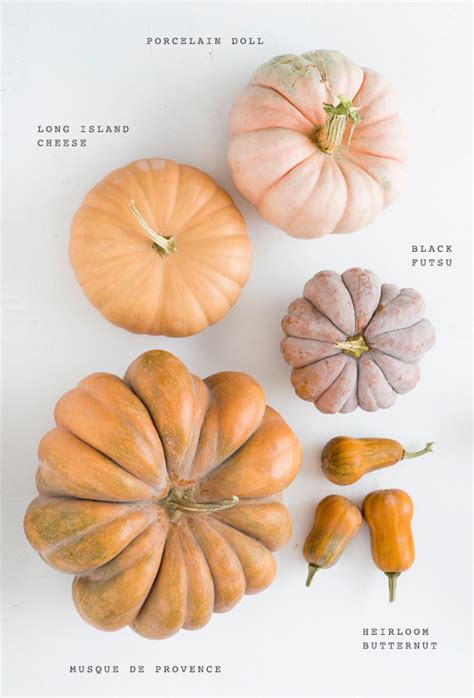 Heirloom pumpkin varieties for fall | Party + Entertaining Ideas | 100 Layer Cake