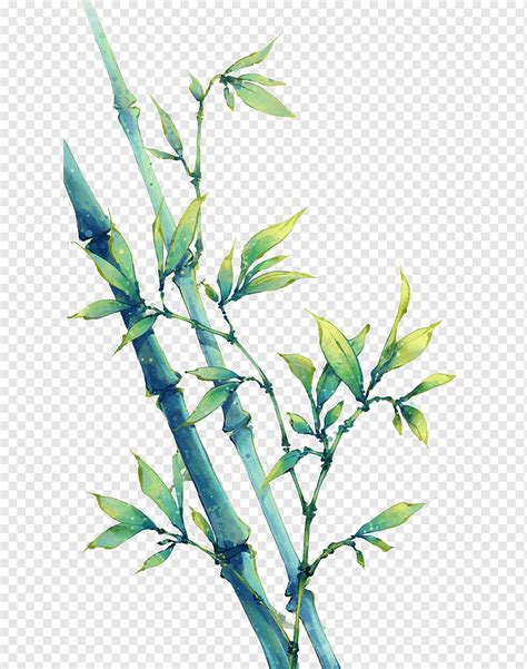 Green leaf plant, China Bamboo Art Drawing Anime, Green bamboo, love, painted, leaf png | PNGWing