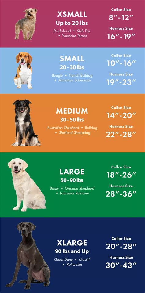 Dog Harness Size Chart By Breed