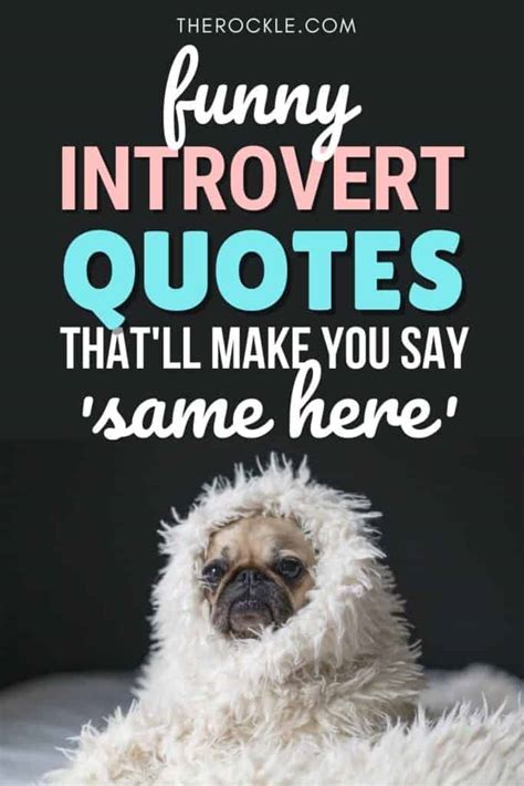 Funny Introvert Quotes That'll Make You Say 'Same Here'