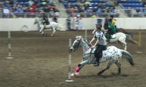 Horse World Expo Pennsylvania features everything equine, March 5 to 9 ...