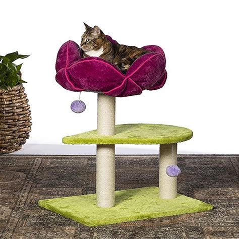 Fancy Cat Perch with Flower Bed