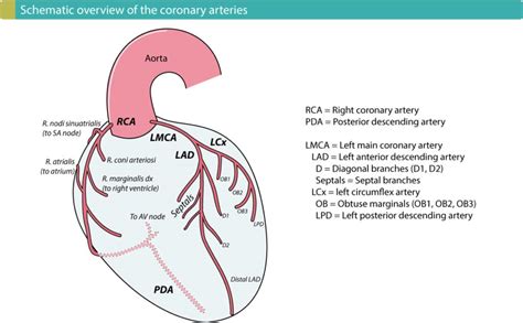 Supraventricular and intraventricular conduction defects in myocardial ...