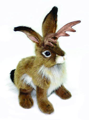 Hansa Jackalope Plush Animal Toy, 9" Hansa http://www.amazon.com/dp/B001QO55NG/ref=cm_sw_r_pi_dp ...