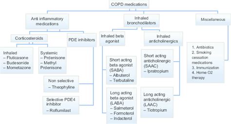 Is Anticholinergic Therapy Effective For Copd - Image to u