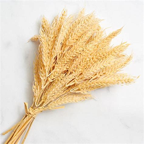 Wheat sold direct by the grower and processor at Farmers Market Online