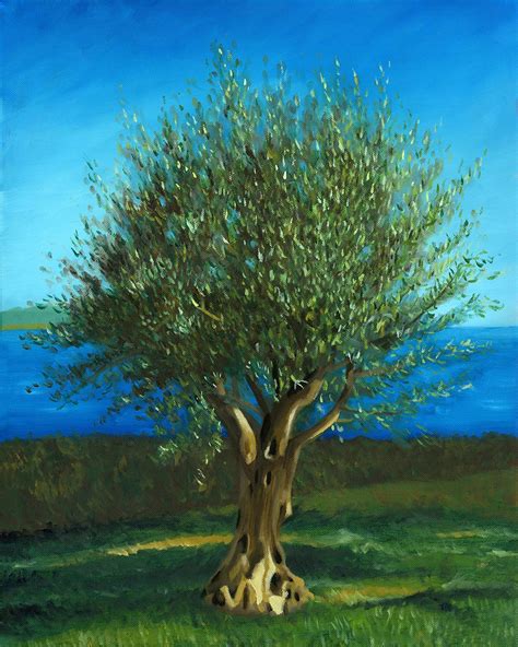 Olive Tree In Croatia Oil Painting | Artist, Art, Cartoonist