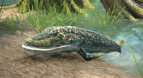 Tiktaalik - 3D scene - Mozaik Digital Education and Learning