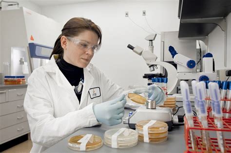 Careers in Microbiology: Where Do Microbiologists Work And What Do They Do?