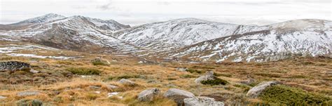 Climate change impacts on our alpine areas | AdaptNSW