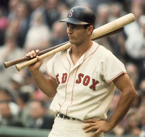 Carl Yastrzemski, 1967 | Carl yastrzemski, Red sox baseball, Red sox nation