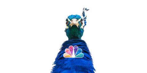 NBCUniversal announces new streaming service "Peacock"