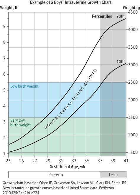 Babies With Low Birth Weight | Neonatology | JAMA | The JAMA Network