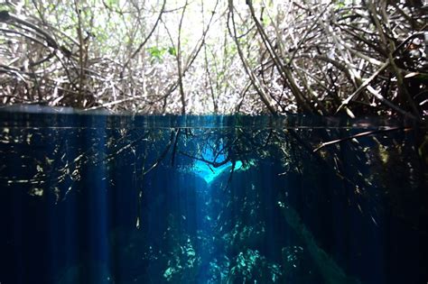 diving legendary cenotes casa cenote | Agua Clara Diving Tulum